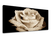 Panorama wall painting FLOWERS Discount 40% 30X60 cm